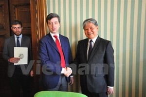 Vietnam, Italy seek closer judicial ties - ảnh 1
